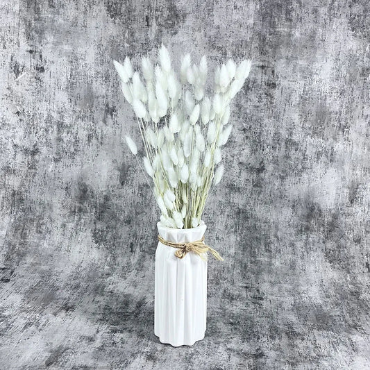 Doğal Kurutulmuş Kar Beyaz Pamuk Otu