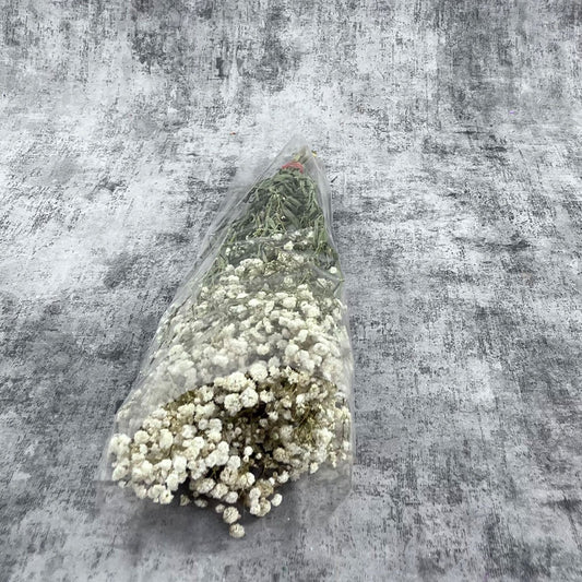 Şoklanmış Beyaz Cipso