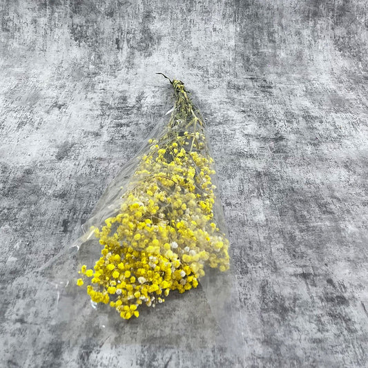 Şoklanmış Sarı Cipso