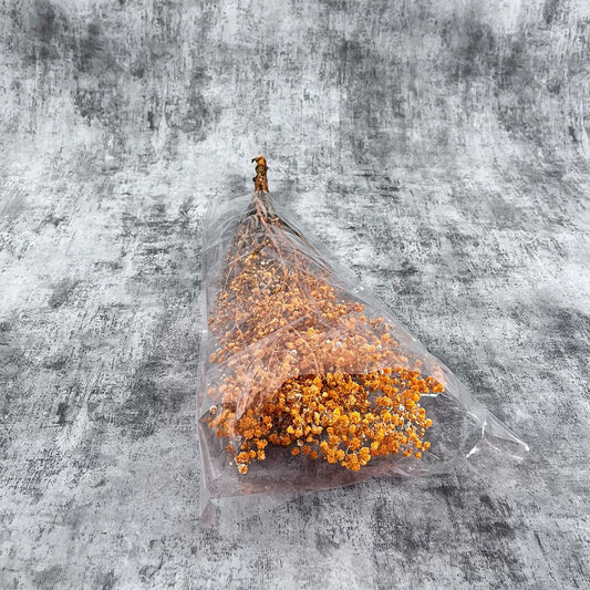 Şoklanmış Turuncu Cipso