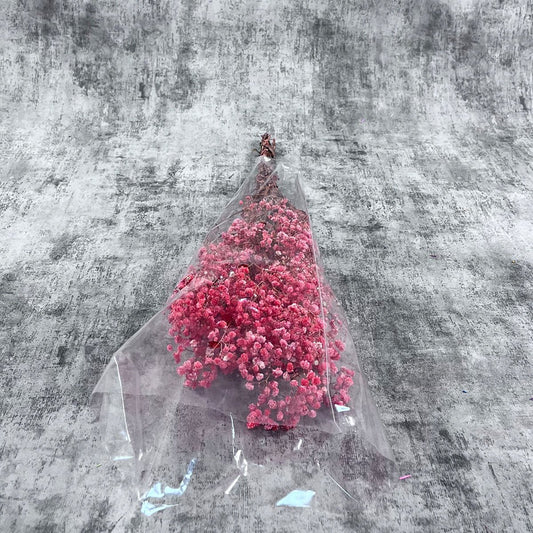 Şoklanmış Kırmızı Cipso