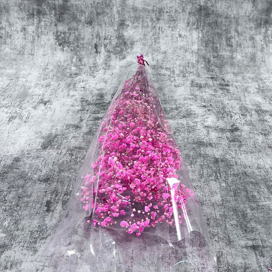 Şoklanmış Fuşya Cipso