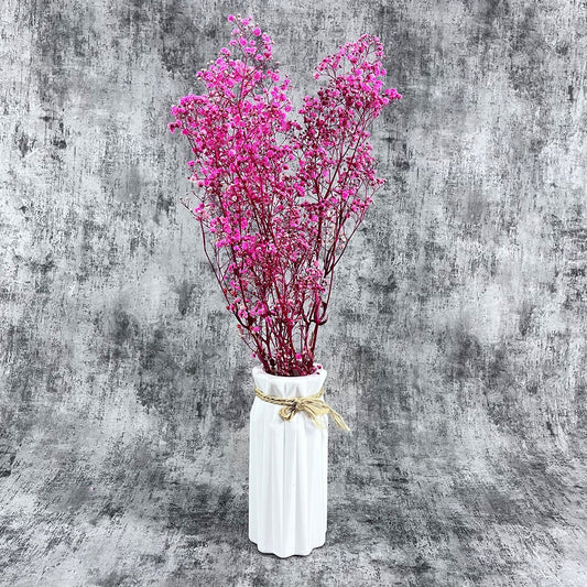 Şoklanmış Fuşya Cipso