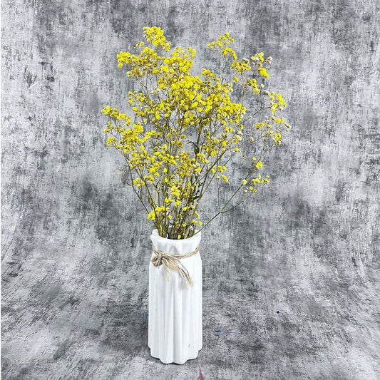 Şoklanmış Sarı Cipso