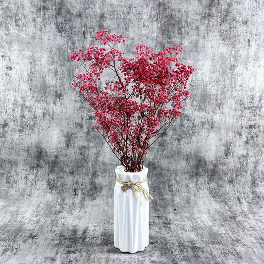 Şoklanmış Kırmızı Cipso