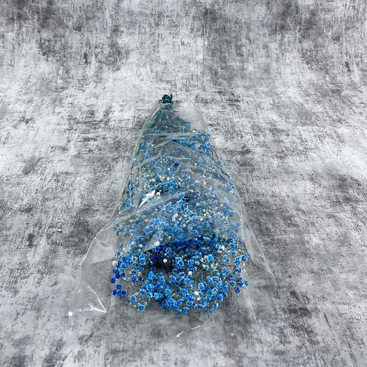 Şoklanmış Mavi Cipso