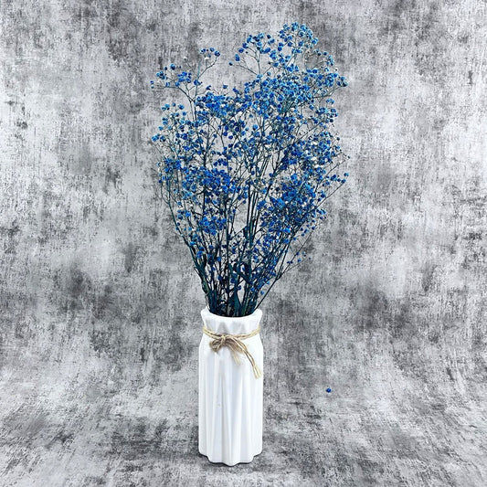 Şoklanmış Mavi Cipso