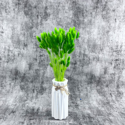 Fıstık Yeşili Pamuk Otu