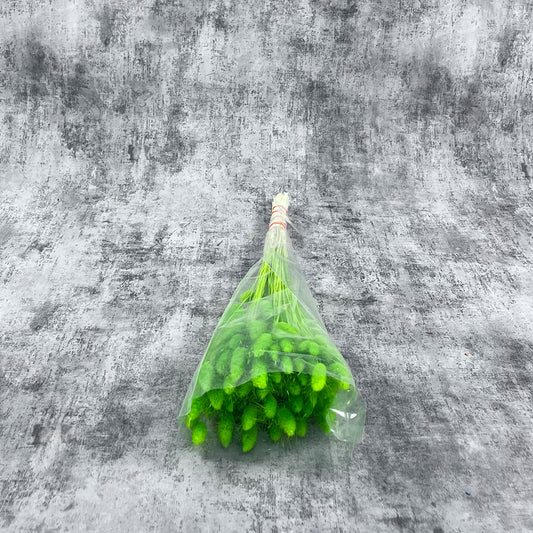 Fıstık Yeşili Pamuk Otu