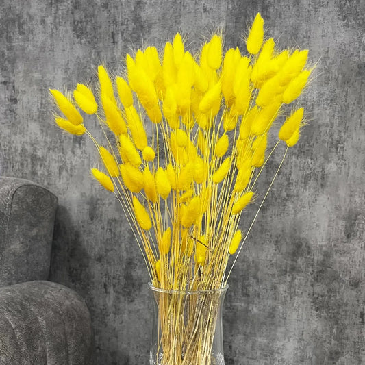 Doğal Kurutulmuş Sarı Pamuk Otu