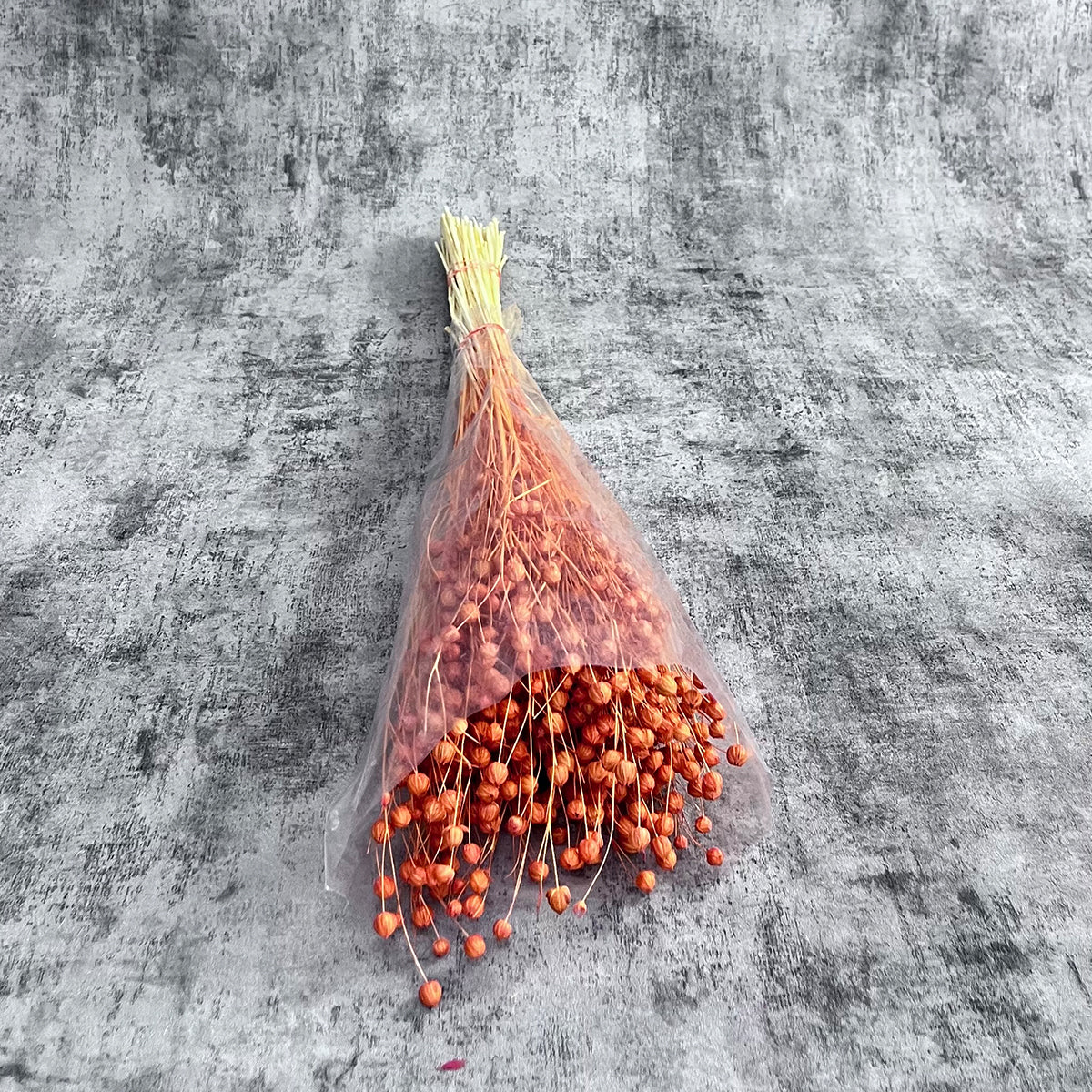Turuncu Keten Otu