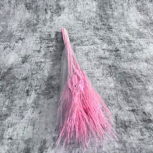 Pembe Başak