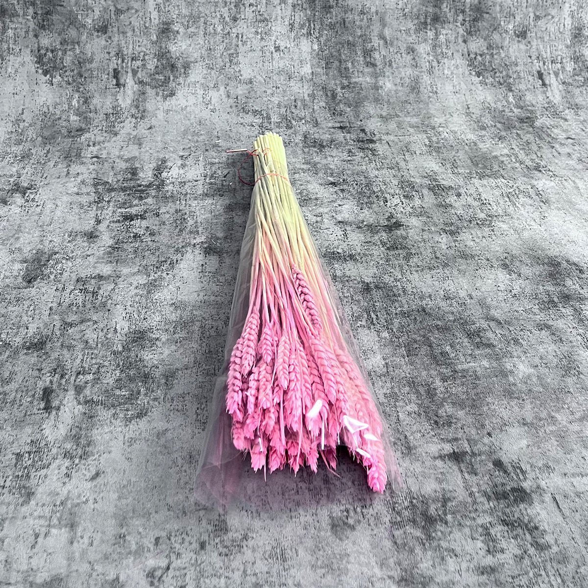Pembe Kılçıksız Başak