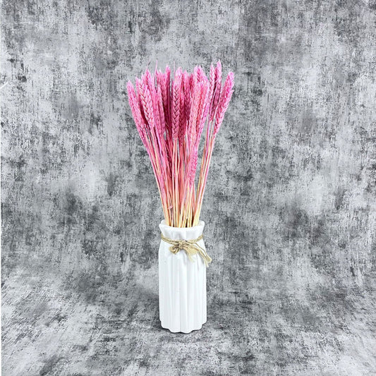 Pembe Kılçıksız Başak