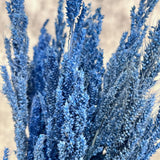 Lacivert Bulgur Otu