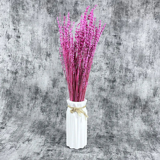 Şoklanmış Pembe Lavanta