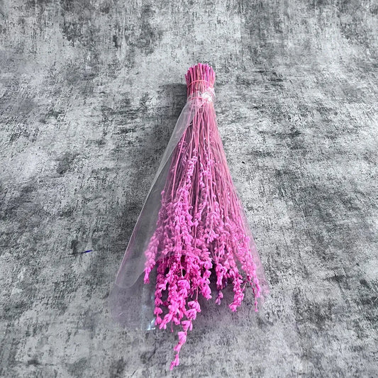 Şoklanmış Pembe Lavanta