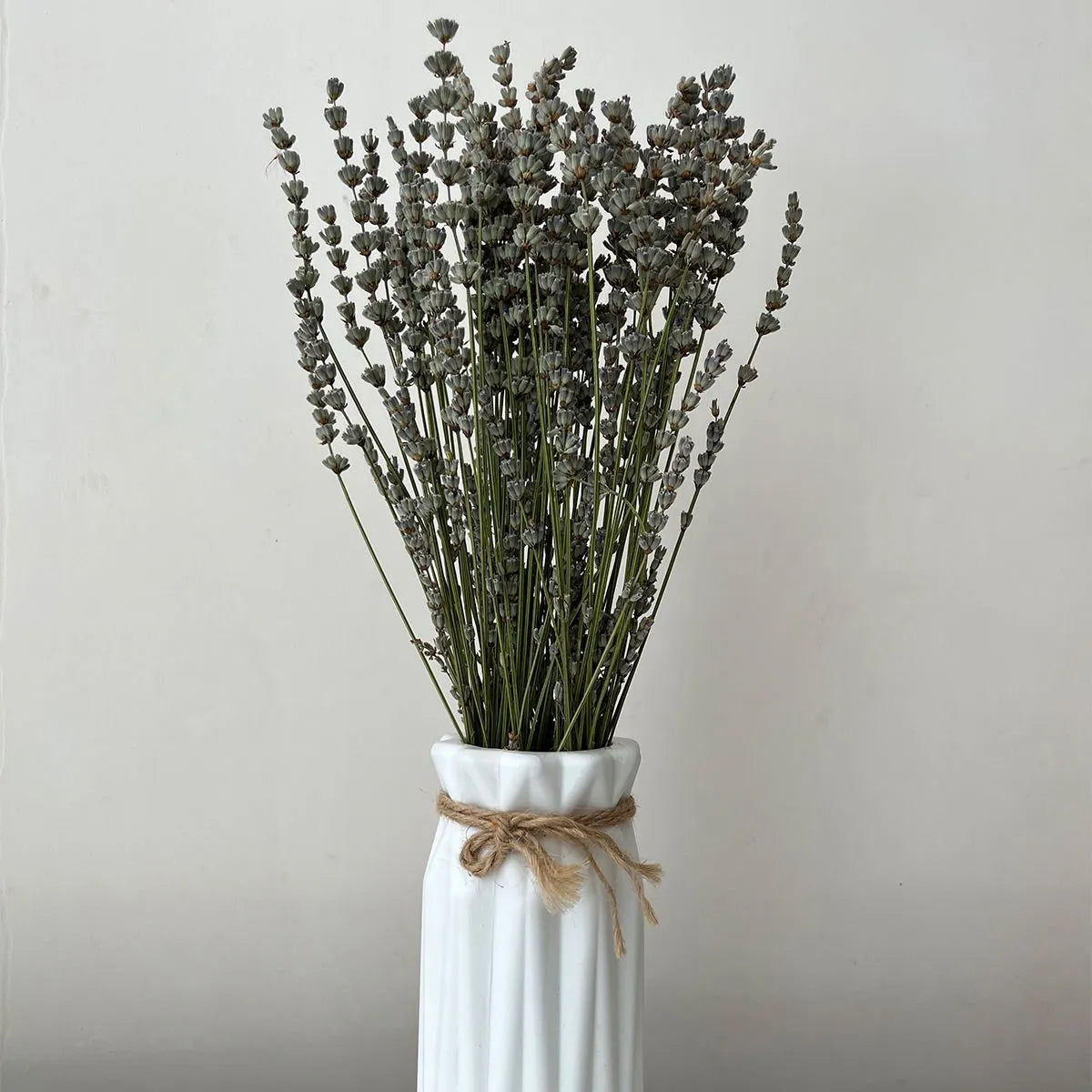 Şoklanmış Naturel Lavanta