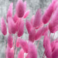 Pembe Pamuk Otu