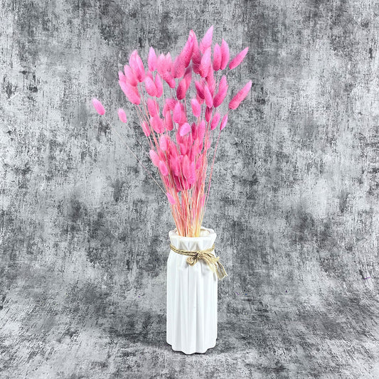 Pembe Pamuk Otu