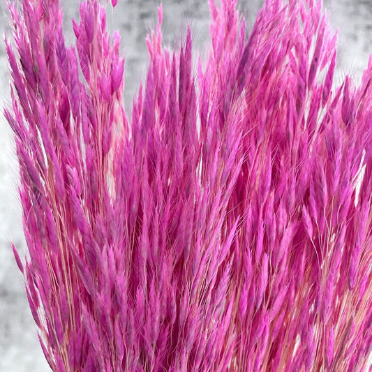 Pembe Kuş Dili