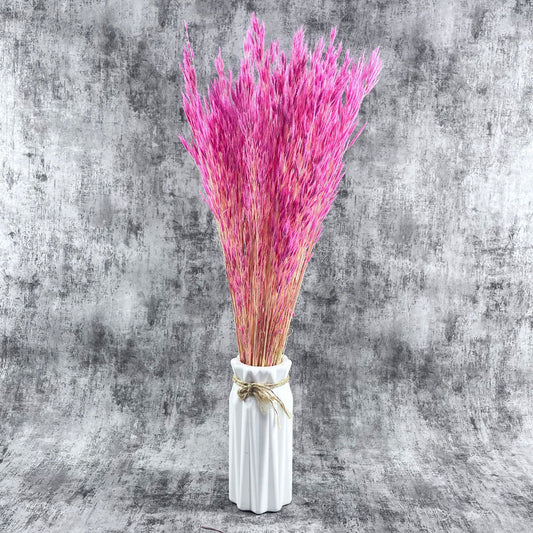 Pembe Kuş Dili