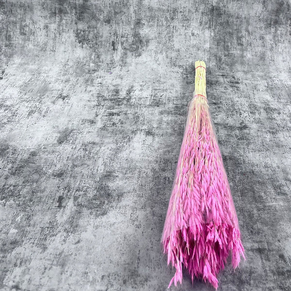 Pembe Kuş Dili