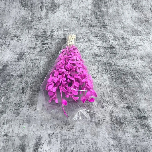 Pembe Sedef Otu